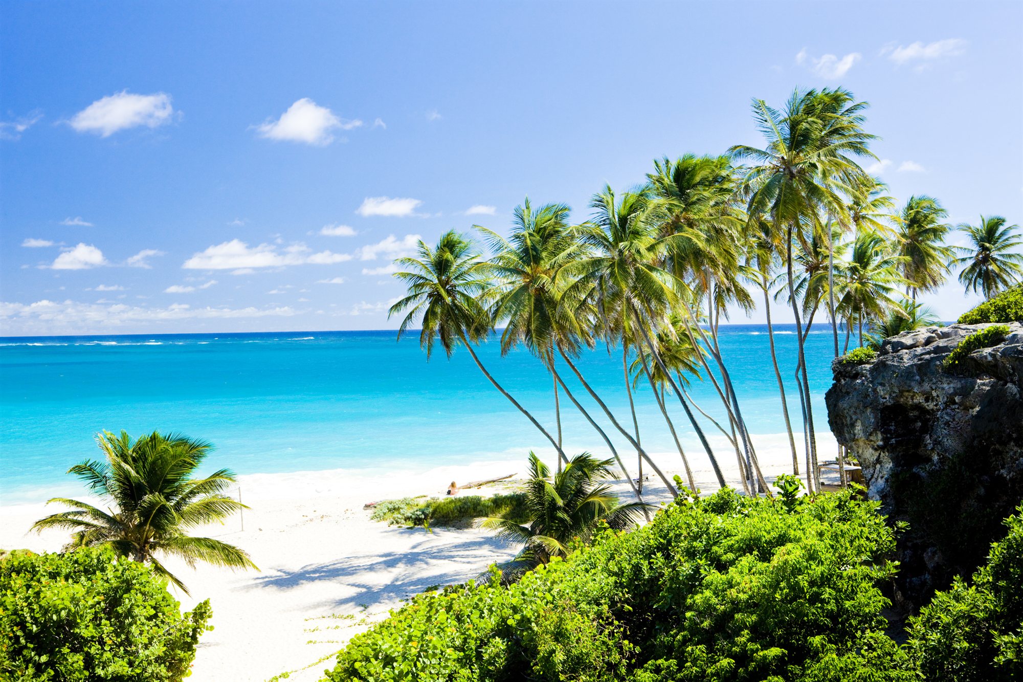 Palm Beach